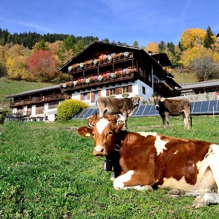 브레싸노네 Wegscheiderhof B&B 외부 사진