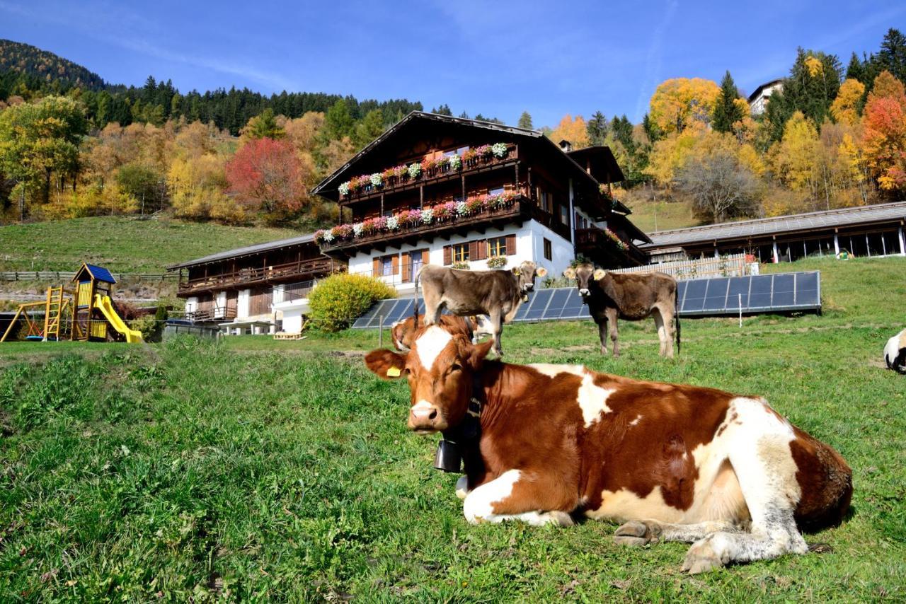 브레싸노네 Wegscheiderhof B&B 외부 사진